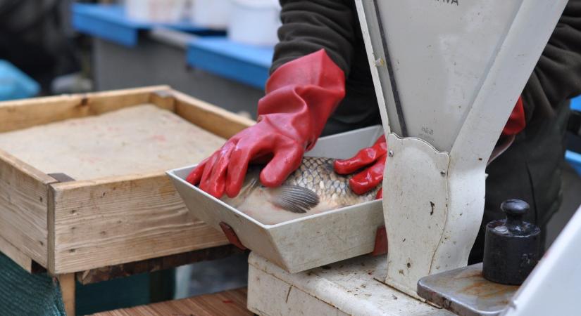 Nagy bejelentés érkezett: ezt jó tudni karácsony előtt