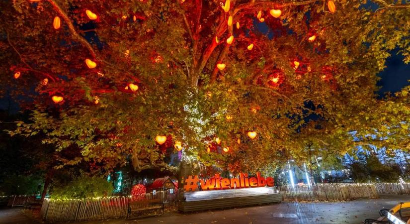 Karácsonyi vásárok a bécsi adventi gazdaság mozgatórugói