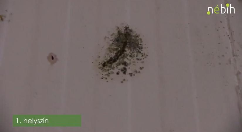 Horror a gyrosüzemben: ettől a videótól az embernek egy életre elmegy a kedve a gyrostól (VIDEÓ)