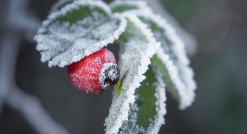 A tél első lehelete a bányatónál