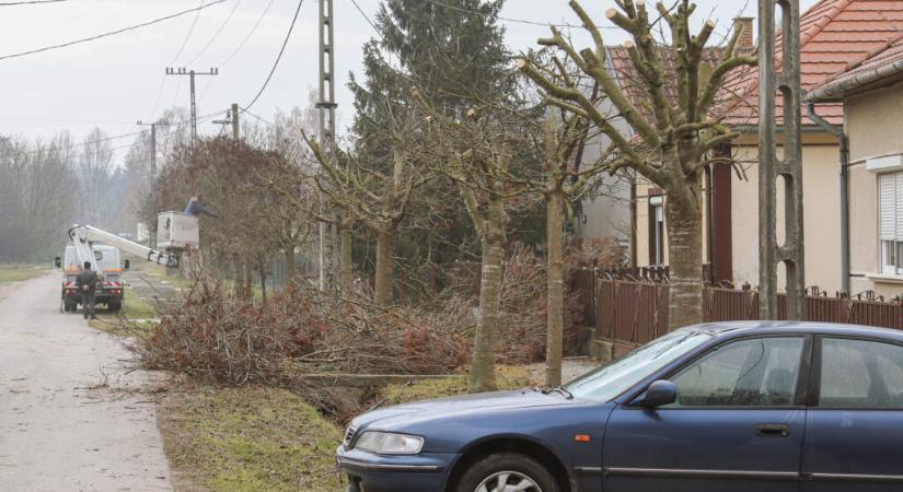 Fákat metszenek az Ady utcában