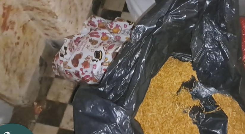 Lószerszámok közé rejtve talált 8 millió forintnyi vágott dohányt a NAV