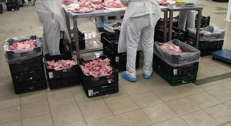 Padlón tárolt alapanyagok, rovartetemek, penészes húscafatok – lecsapott a Nébih