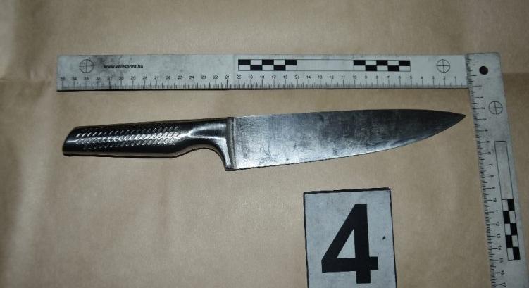 Hasba szúrta az unokaöccsét egy szakácskéssel, vádat emeltek ellene