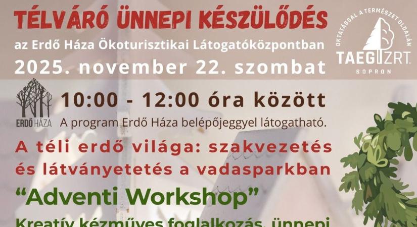 Adventre készülődnek a soproni Erdő Házában