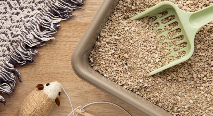 Nem találja ki, mire lehet jó a macskaalom a háztartásban