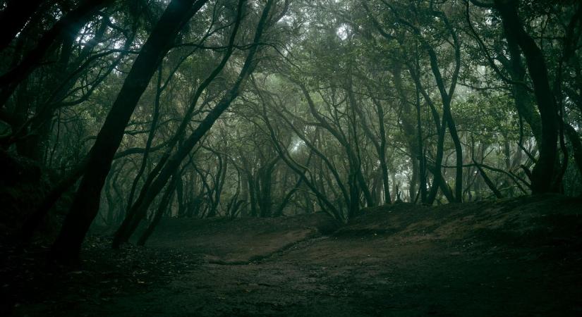 Papi ruhában is rabolt a híres bakonyi betyár, 5 érdekességet és 5 legendát mondunk el róla