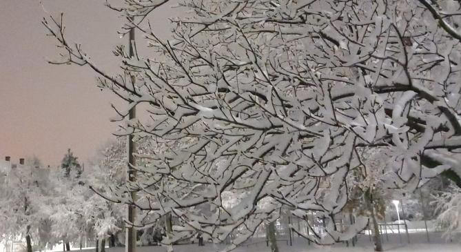 10 centis hó fedheti be péntek reggelre a Bakony csúcsait