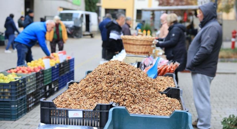 Őszi kincsvadászat: dió, gesztenye, sütőtök – mindenki szüretel, aki él és mozog!