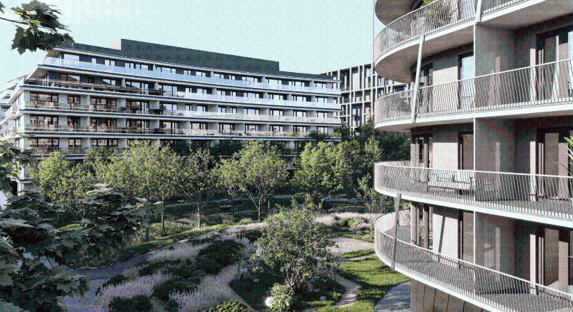 Beluga Garden – Zöldbe borult otthonok