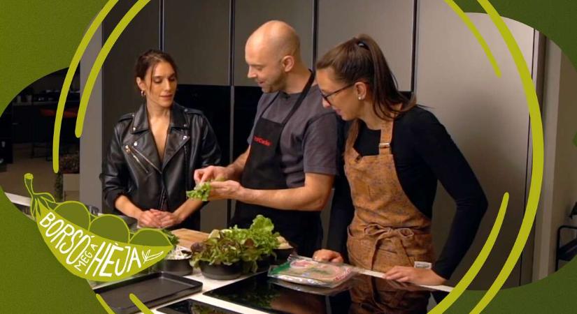 Szabó Adrienn dietetikus és Keve Márton séf receptjei: rakott kel lasagne, nyári tekercs, egészséges reggeli