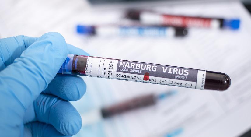 Riasztó jelzés érkezett: Európa határait döngeti a halálos kór