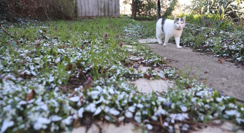 Térképen mutatjuk, mennyi hó várható holnap a Jászkunságban