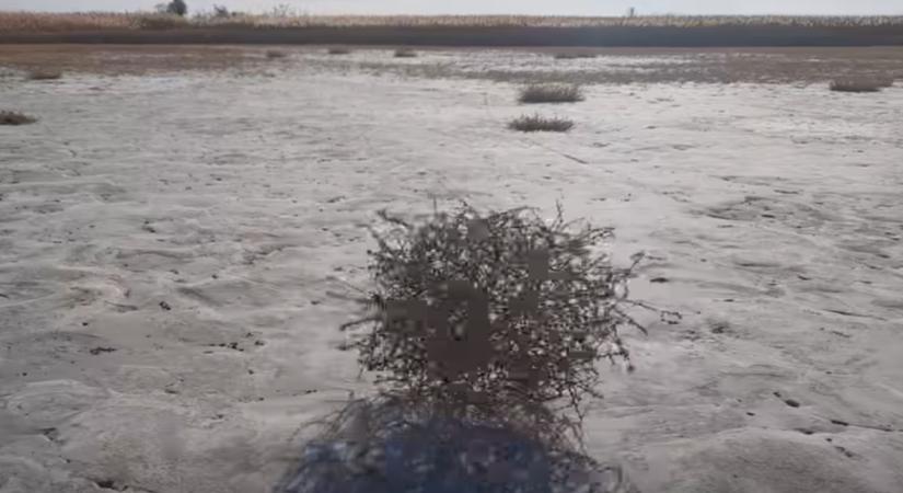 Rejtélyes gömbök táncolnak a kardoskúti Fehér-tavon: kiderült, mi áll a furcsa jelenség mögött  Videó