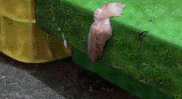 Gyrosnyárs alapanyagot és gyrosnyársat is előállító üzemeket ellenőrzött a Nébih – egy üzem működését azonnal felfüggesztették