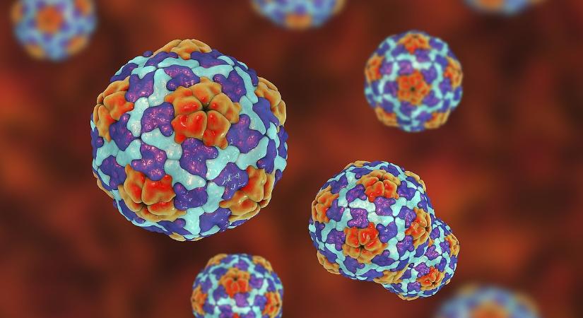 Egy vírus hirtelen durván berobbant: a járványügyi adatok tragikus képet mutatnak