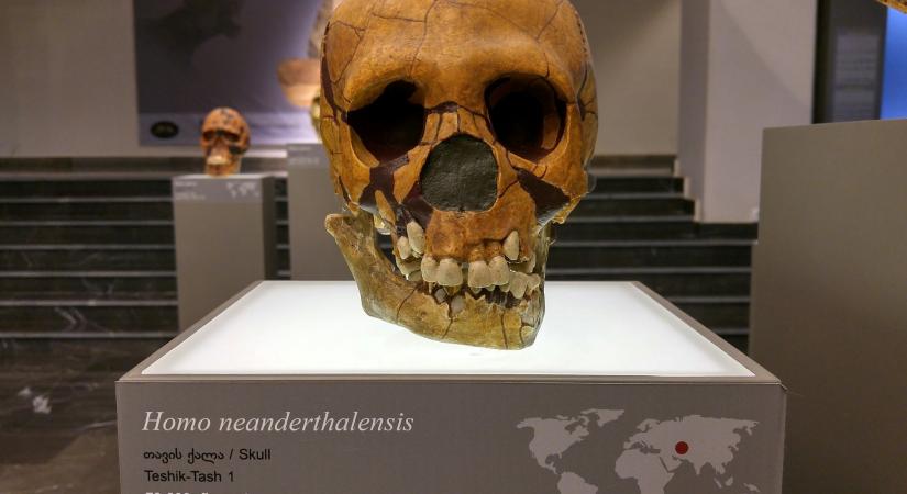 Úgy tűnik, mégsem haltak ki a neandervölgyi ősemberek