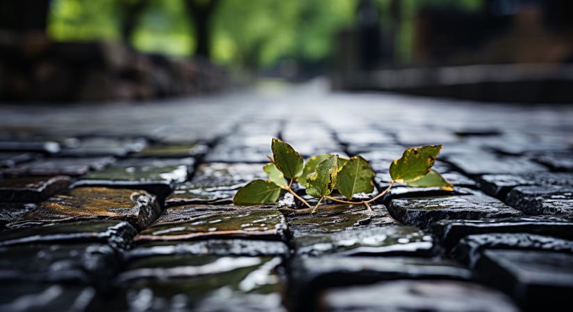 Figyelmeztet a HungaroMet: kiadós csapadék érkezik