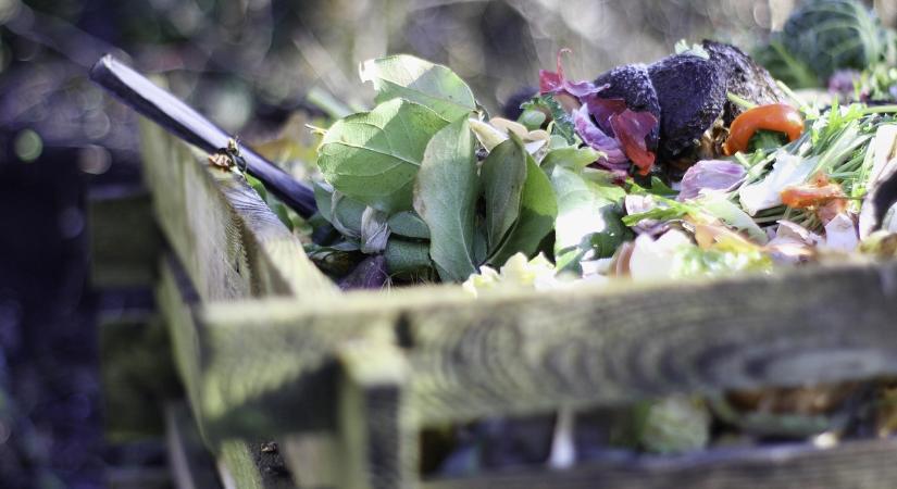 Komposztálás a kertben: így tesz csodát mindennel