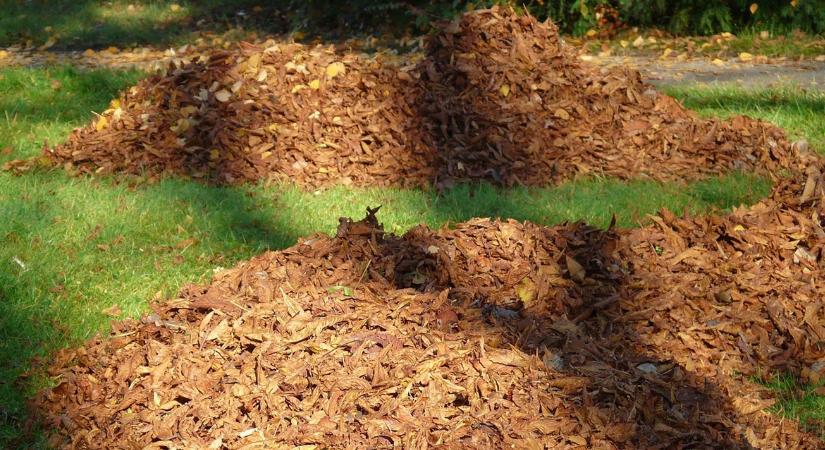 A kert legjobb „ingyenanyagai”: lomb, ág, venyige