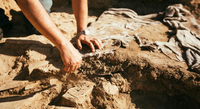 Őrületes szenzáció: dinoszaurusz csontok százai feküdtek egymáson - a kutatókat is meglepte a felfedezés