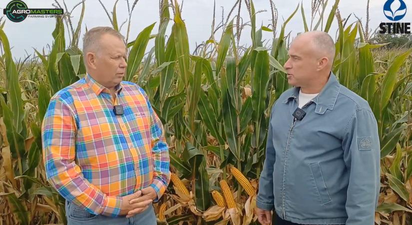 Az AGRO Masters által forgalmazott STINE hibrideket értékelte a Moravszki Farm KFt.