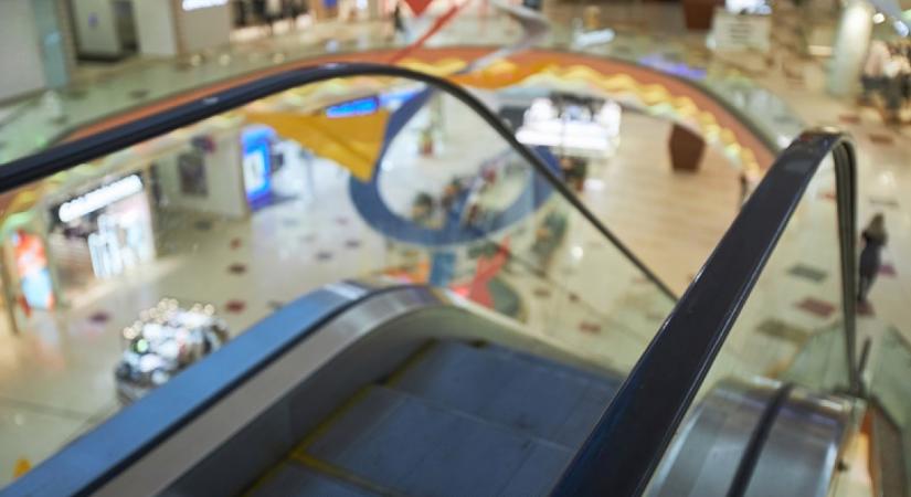 Hajmeresztő, milyen ragadozó tűnt fel ebben a magyarországi plázában: leesik majd az állad a most következő videótól