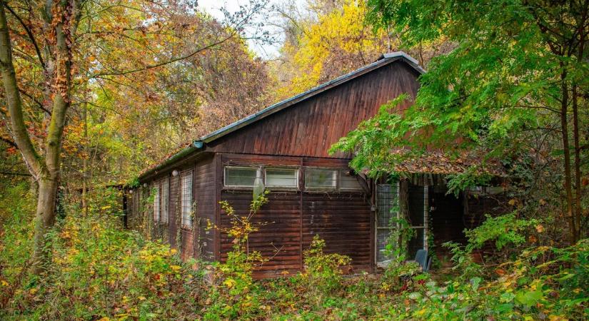 Visszafoglalta a természet azt, ami egykoron a diákok balatoni mekkája volt