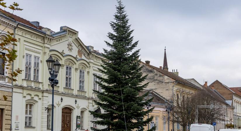 Felállították Esztergom karácsonyfáját fotók, videó