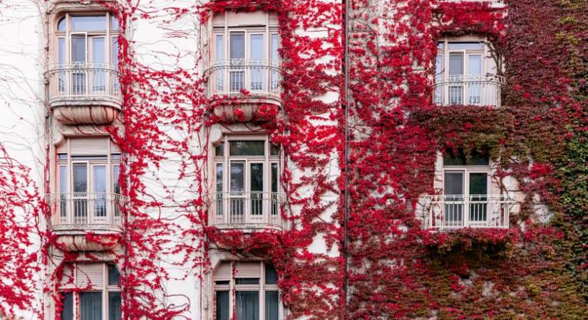 Itt a legolcsóbbak a lakások Magyarországon: 13 ezer forint egy négyzetméter