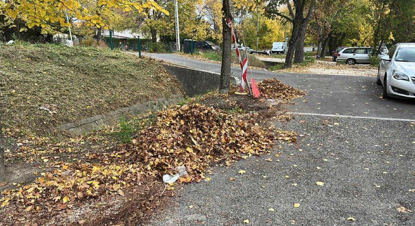Egyeztető fórum őszi fenntartási feladatokról közös képviselők számára