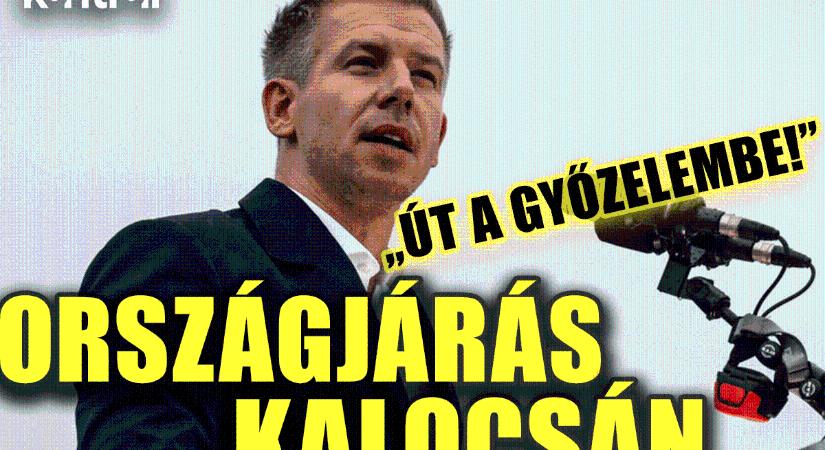 ÉLŐ KÖZVETÍTÉS: Magyar Péter országjárása Kalocsán folytatódik