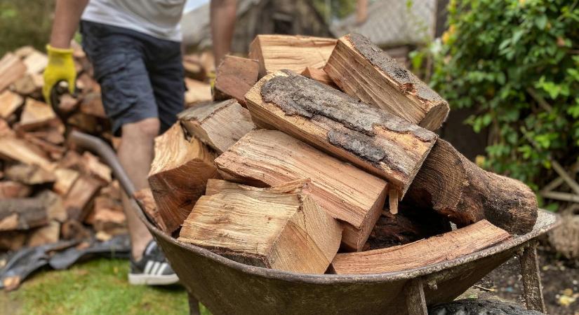 Fideszes polgármesterek DPK-logós videóban hirdették a szociális tűzifát