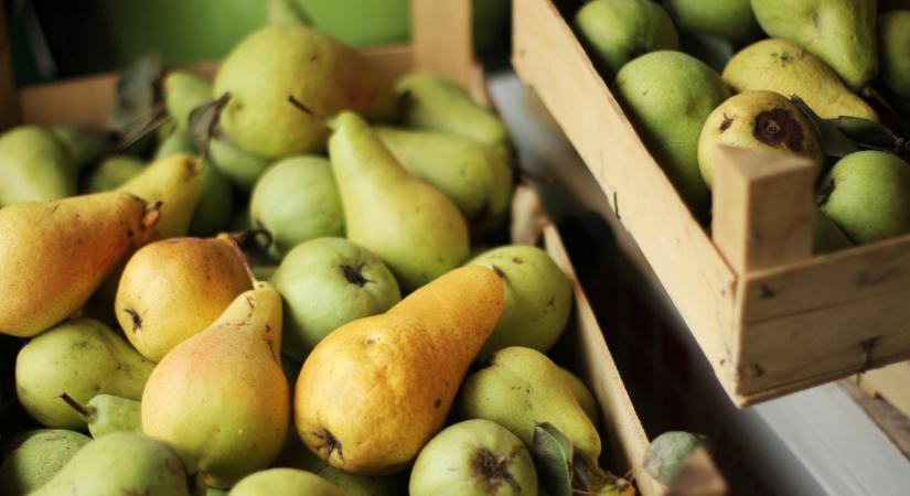 Itt a friss jelentés: váratlan dolog derült ki a körtéről Franciaországban