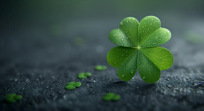 Megszólalt a lottónyertes: erre a négy dologra költi a mesés vagyont