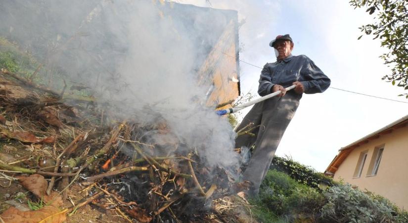 Ennyi bírságra számíthatsz, ha nekilátsz elégetni a faleveleket