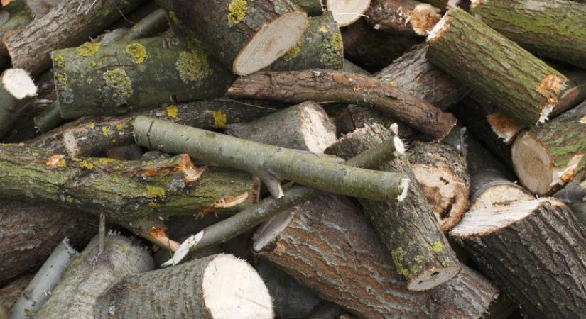 Van, ahol DPK-logós videóval ajánlanak szociális tűzifát