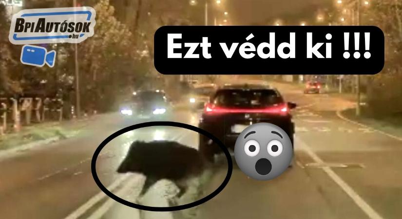 Kijózanító pofon! A pillanat, amit senki nem tudna kivédeni