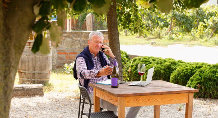 Kihívások előtt a magyar borágazat: erre óriási szüksége lenne a termelőknek