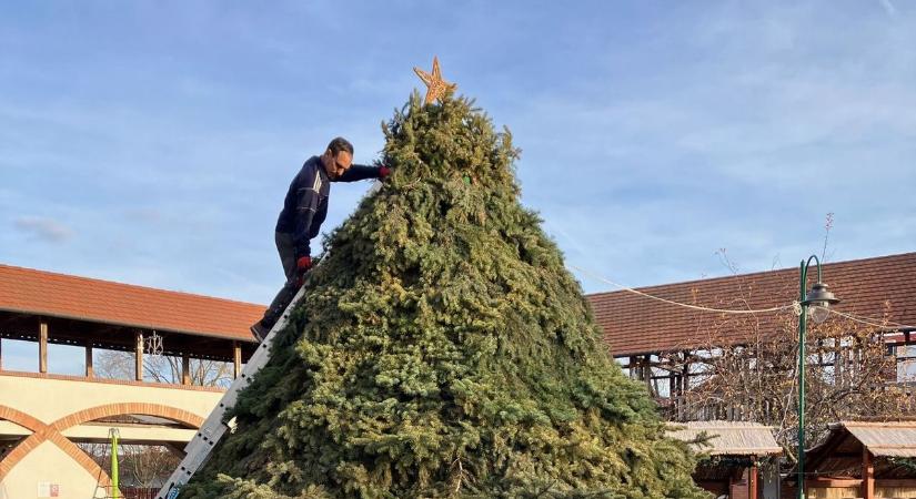Idén még varázslatosabb lesz Kistelek karácsonya, új díszítéssel vár mindenkit