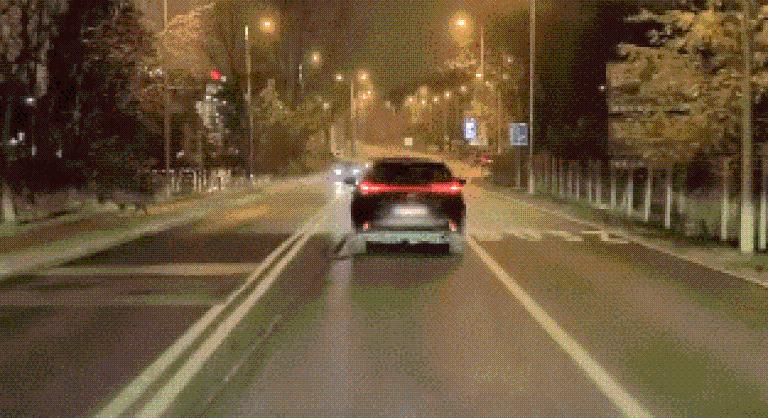 Elképesztő jelenetek Budapesten, vaddisznó szaladt neki egy autó oldalának