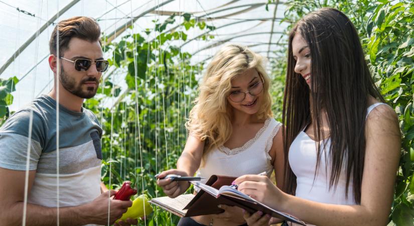 Előkelő helyre lépett a MATE az egyik legrangosabb felsőoktatási listán