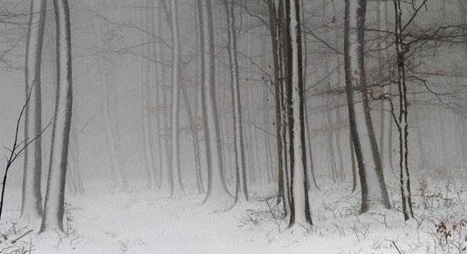 Ennyi havat várunk péntek estig