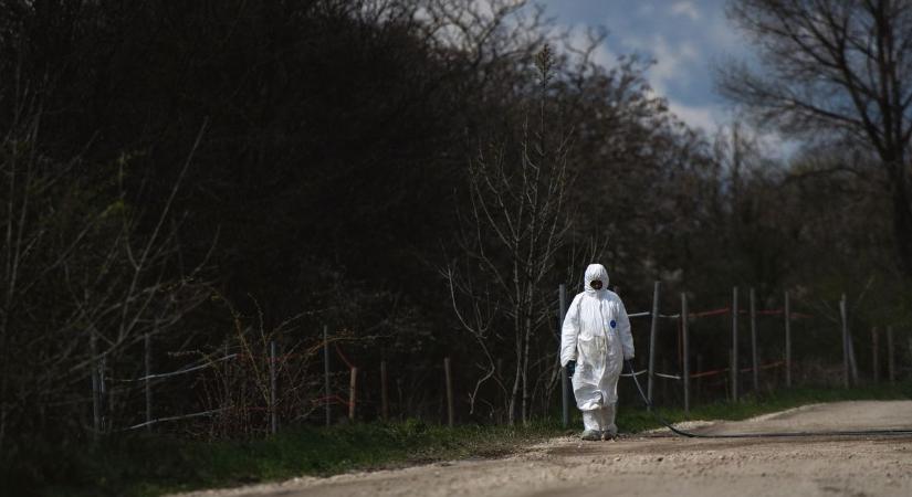 Fertőzött egész Heves vármegye! Szigorúan korlátozott területet is találni