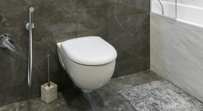 Soha ne vigyél mobilt a vécére! – komoly veszélyre figyelmeztet az orvos