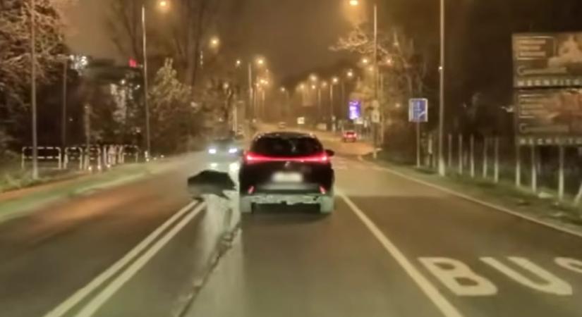 Vaddisznó szaladt neki egy autónak a Budaörsi úton – videó