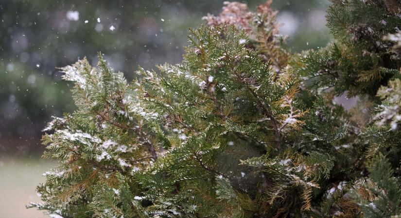 Ezúttal már korán megérkezik az első hó? – Mutatjuk, milyen lesz a holnapi időjárás