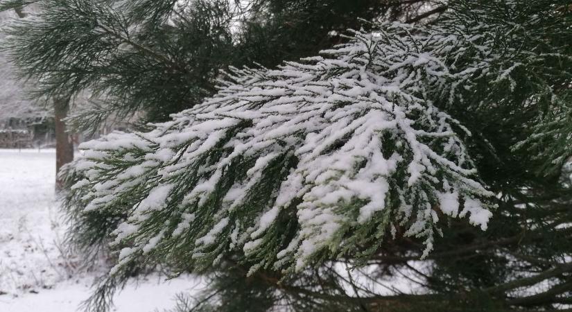 Megérkezett az idei első havazás: máris hótakaró borítja a Börzsönyt - Elképesztő fotók