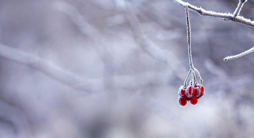 Mindenki ezt várta már: leesett az első hó a Börzsönyben - látványos fotók