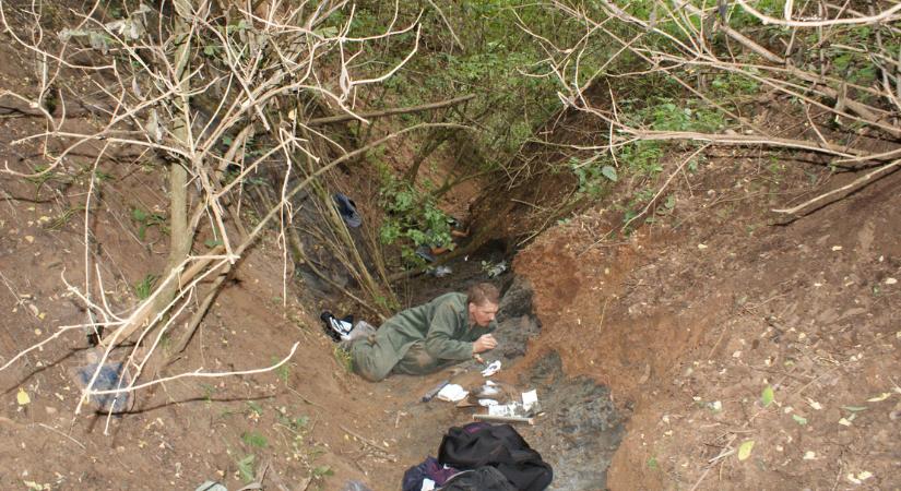 Kivételesen gazdag dinoszaurusz-lelőhelyre bukkantak Erdélyben